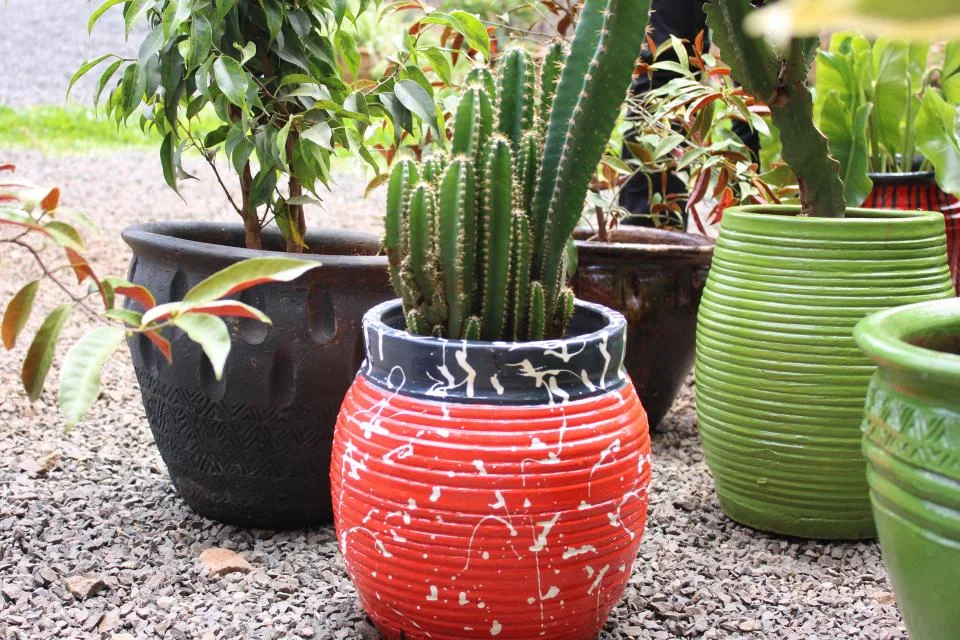 Sustainable Gardening in Kenya: Compost, Plants & Landscaping