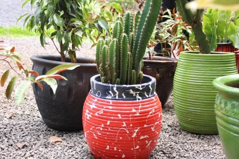 Sustainable Gardening in Kenya: Compost, Plants & Landscaping